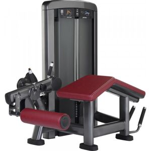 Life Fitness Insignia Series Lying Leg Curl Machine