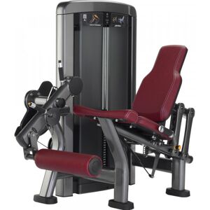 Life Fitness Insignia Series Leg Extension Machine