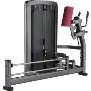 Life Fitness Insignia Series Glute Machine