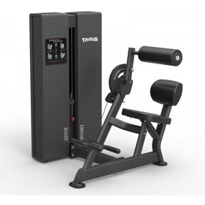 Taurus Pro Ab & Back Extension Machine