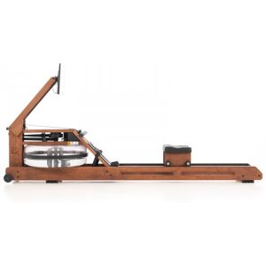 WaterRower Ergatta