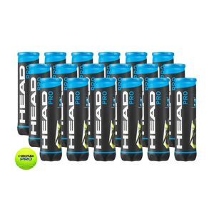 Head Tennisball »Pro - Box« gelb