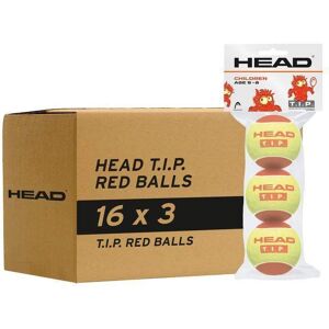 Cajon 48 Pelotas - 16 Packs de 3 uds - Head T.I.P. Red