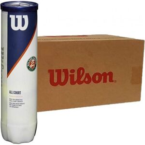 Cajon 72 Pelotas - 18 Botes de 4 Uds - Wilson Roland Garros