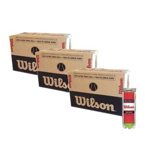 Cajon 72 Pelotas - 24 Botes de 3 uds - Wilson Rush 100 x 3 Unidades