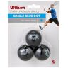 Wilson Squashballen met 2 ballen voor personeel