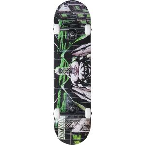 Tony Hawk 540 Series Skateboard Komplettboard (Wasteland)