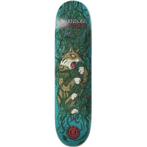 Element Trapped Skateboard Deck (Westgate)