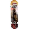 Tony Hawk ss180 complete hawk skate  (UNICA)