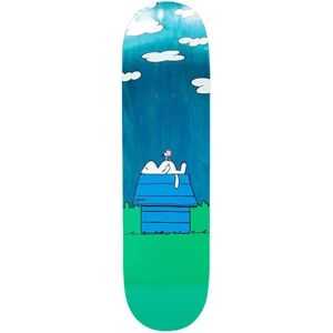 RIPNDIP Not Today Planche De Skate (Vert)