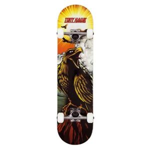 Tony Hawk 180 Series Skateboard Complet (Hawk Roar)