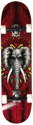 Powell Peralta Skateboard Complet Powell Peralta Birch (Vallely Elephant)