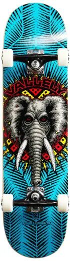Powell Peralta Skateboard Complet Powell Peralta Birch (Vallely Elephant)