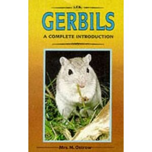 MediaTronixs A Complete Guide to Gerbils, Ostrow, Mrs. M.