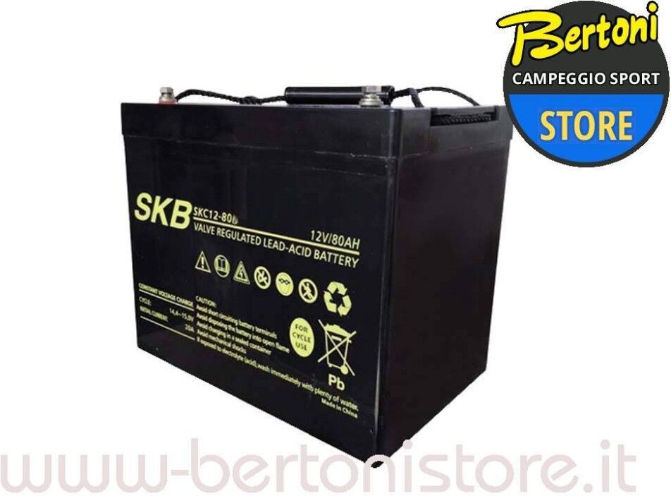 Motori elettrici Minn Kota Batteria Agm Cycle Use Sk12-65 Batteria 12 V -65 Ah