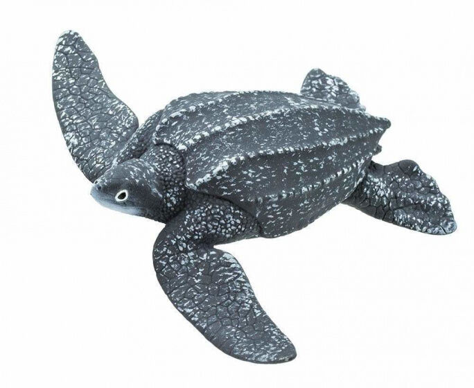 Safari zeedieren Lederschildpad junior 13,5 cm grijs/wit - Grijs,Wit
