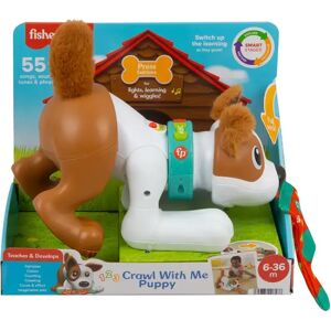 Fisher Price Crawl With Me Puppy, Italienisch, Multicolor