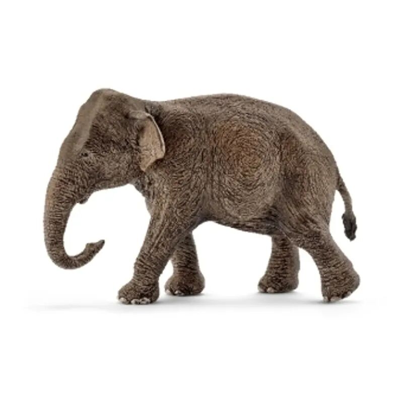 Schleich® 14753 Wild Life – Asiatische Elefantenkuh