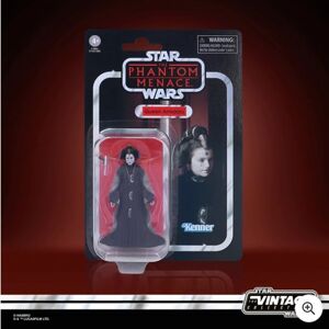 Hasbro Star Wars The Vintage Collection Queen Amidala Action Figure
