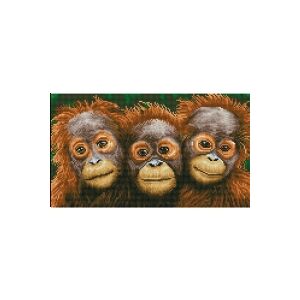 Diamond Dotz 47 x 27 cm - Orangutanger