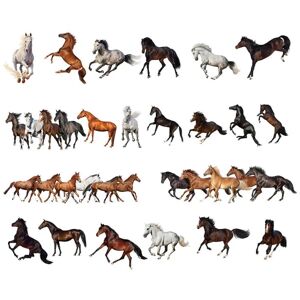4 ark heste vægklistermærker Søde dyr vægoverføringsbilleder børnehave