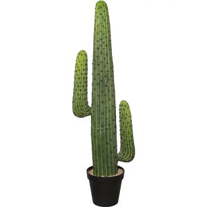 kaiserkraft Cactus mexicano, en maceta de plástico, altura 1270 mm