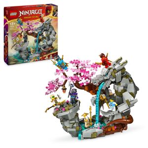 LEGO® Ninjago Santuario de Piedra del Dragón 71819