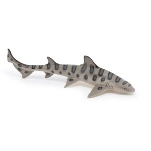 56056 requin leopard marin