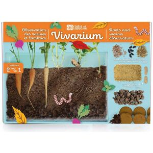 Vivarium Observation racines et vers de terre