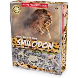 Kit Paleo - Smilodon