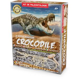 Kit Paleo - Crocodile