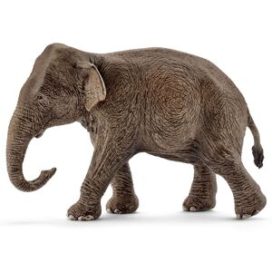 14753 Elephant Asie Femelle