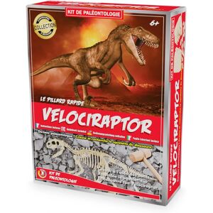 Kit Paleo - Vélociraptor