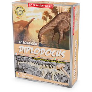 Kit Paleo - Diplodocus