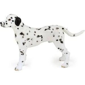 Dalmatien - PAPO - 54020