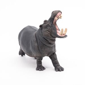 Hippopotame  - PAPO - 50051