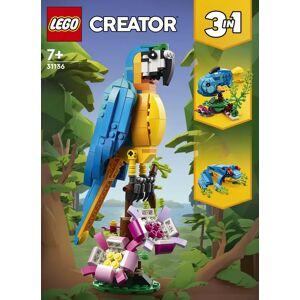 31136 - Le perroquet exotique - LEGO® Creator - Publicité