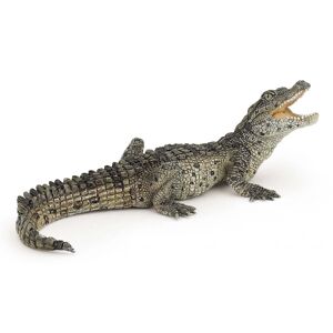 Bébé crocodile - PAPO - 50137