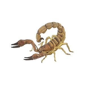 Papo Figurine Scorpion - Publicité