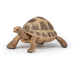 Papo -Figurine Peinte A La Main -La Vie Sauvage-Tortue d'Hermann-50264-À Collectionner-pour Enfants Filles et Garçons A Partir de 3 Ans - Publicité