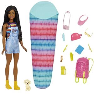 Barbie Famille poupée Brooklyn Camping, avec Mini-Figurine Chiot, Sac à Dos, Sac de Couchage et Accessoires, Jouet pour Enfant, HDF74 - Publicité