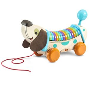 VTech - Eco Chien pour Enfant en Bois Découvrez Les Lettres et Les chansons, 80-615222, Multicolore, único - Publicité