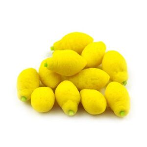 MyTinyWorld 7 X Maison de Poupées Miniature Fait Main Whole Lemons - Publicité