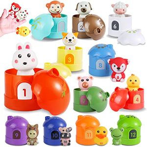 COOLJOY Jouet Montessori 2 Ans Bébé | Jeu Magnétique Éducatif Sensoriel  Bebe Enfant 1 2 3 Ans Garçons Filles | Animaux Jouets en Bois