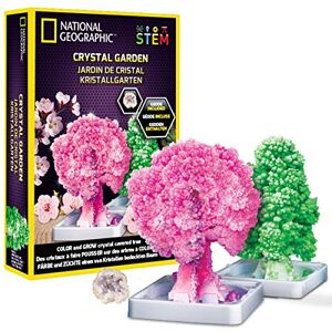 Bandai JM02766 National Geographic-Crystal Garden Starts Growing in 20 Minutes-Educational Science Kit - Publicité