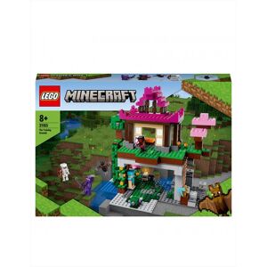 Lego Minecraft I Campi D'allenamento 21183