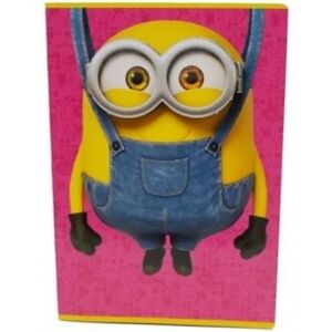 Minions 5 Quadernoni  rigo c - grafiche assortite