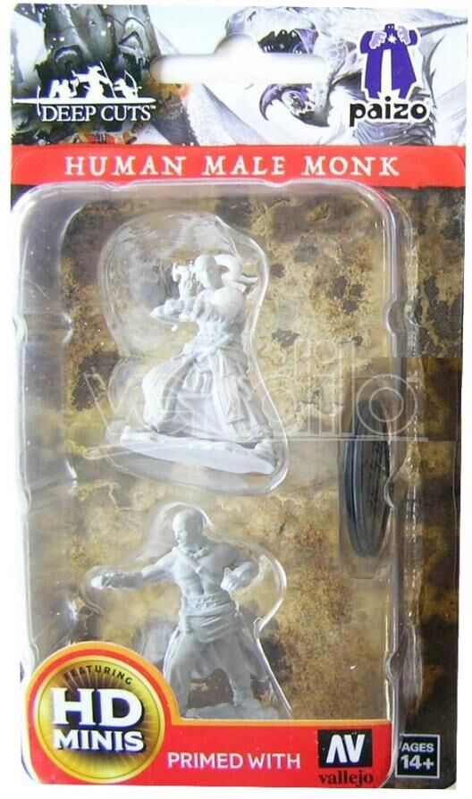 WIZKIDS Wizbambino Pathfinder Dcum Human Male Monk Gioco Di Ruolo