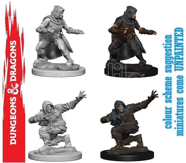 WIZKIDS Wizbambino Pathfinder Dcum Human Male Rogue Gioco Di Ruolo