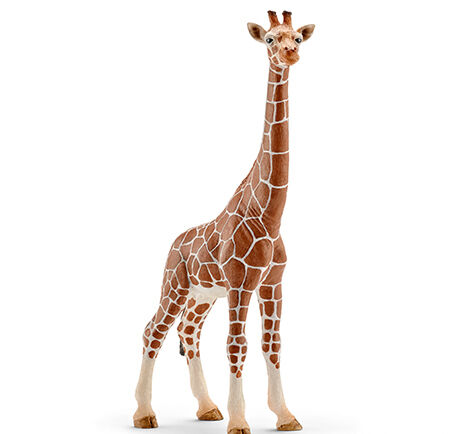 Schleich-s Femmina Di Giraffa